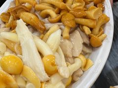 -鸽鸟轩(石岐店)