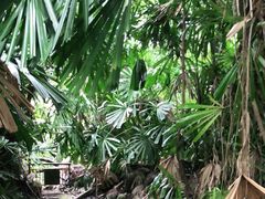 -武吉知马自然保护区