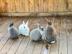 -HERRE·FARM 赫尔露营农场·团建聚会包场