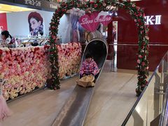 -巴黎春天(浦建店)
