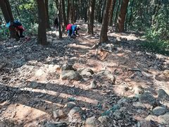 -火炉山森林公园