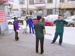 -天时宠物医院24小时疑难病例会诊中心(顾乡大街总院)