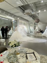 -艾米丽婚纱礼服