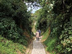 -彩色沙林风景区