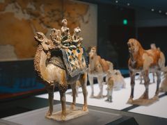 -陕西历史博物馆