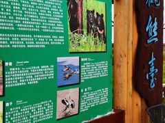 -黑瞎子岛探秘野熊园
