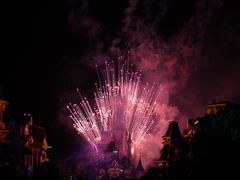 -巴黎迪士尼乐园