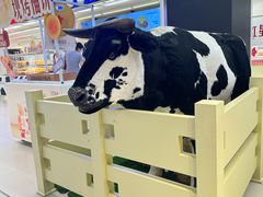 -红星前进面包牛奶公司(君太店)