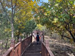 -北京十三陵国家森林公园蟒山景区