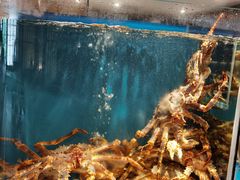 水产区-蟹田居·活蟹料理(东城店)