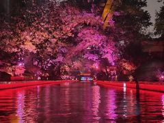 -夫子庙秦淮河画舫