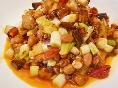 -新渝城·川菜·火锅(区庄店)