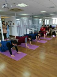 -爱尔乐美孕产瑜伽·普拉提