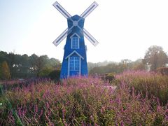 -铁山坪森林公园