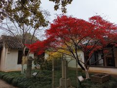 -常熟方塔园