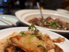 -金掌勺东北菜(格兰晴天店)