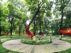 -张坝桂圆林公园
