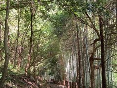 -敬亭山风景名胜区