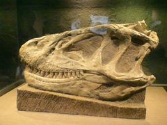 -自贡恐龙博物馆