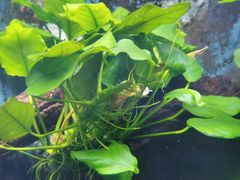 -上海海洋水族馆