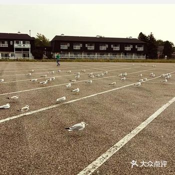 这才发现强大的尾风推背之力！我又忍不住