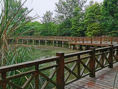 -桤木河湿地公园