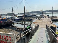 -大湾区中央湿地公园-十九涌