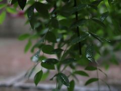 -宁波市保国寺古建筑博物馆