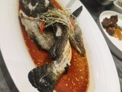 -全聚德(上海首店浦东店)