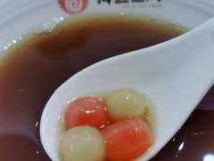-海丝金凤(金鱼店)