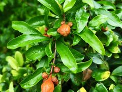 -南京东郊国宾馆