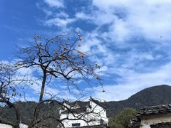 -塔川景区