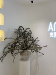 -安那般那皮肤年轻化ANAPANA