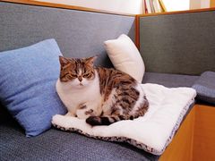 -苏州姑苏小院·东花里酒店