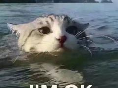 -南波万