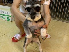 -沐沐家宠物(成寿寺店)