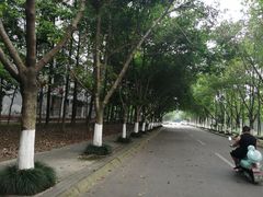 -成都工业学院(郫都校区)