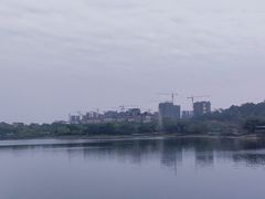 -广东花都湖国家湿地公园