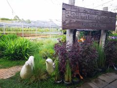 -Ohkajhu Organic Farm Sansai
