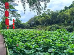 -广州莲花山旅游区