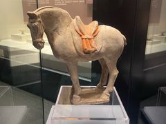 -隋唐大运河文化博物馆