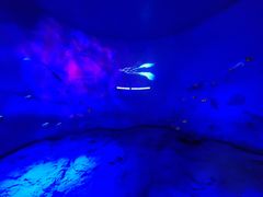 -安徽省地质博物馆