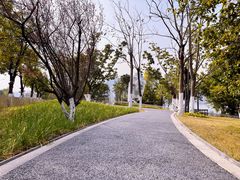 -万达广场(万州店)