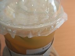 -雾与山茶(大禹城店)