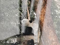 -武汉动物园