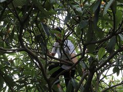 -塘栖枇杷特色园区