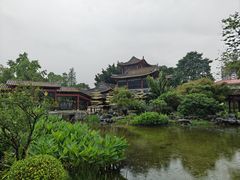 -顺峰山公园