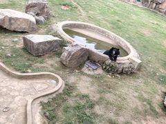 -无锡动物园·太湖欢乐园