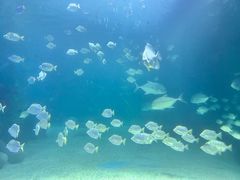 -常州海昌海洋探索馆