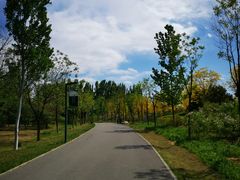 -东郊湿地公园